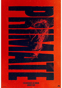 primate wordpress OK